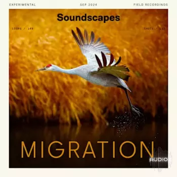 Splice Soundscapes Migration WAV-FANTASTiC