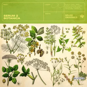 Splice Originals Serum 2 Botanica (WAV, Serum 2 presets)