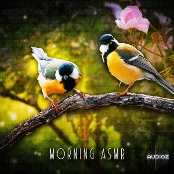 Sound Effects Zone Morning ASMR Sounds Of Birds Chirping FLAC-FANTASTiC