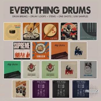 Retro Loops Everything Drums (One-Shots and Drum Breaks) WAV