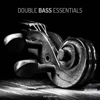 SampleTraxx Double Bass Essentials KONTAKT WAV
