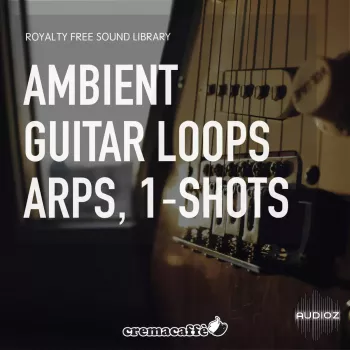 Just Landed Audio Ambient Guitar Loops and One-Shot Samples WAV-FANTASTiC