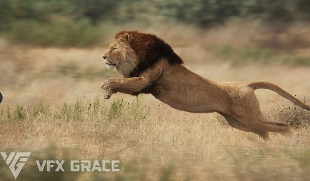 VFX Grace Animal Pack 20