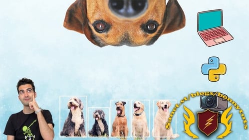 AI Dog Tracking Through Computer Vision Techniques