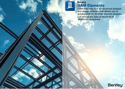 RAM Elements 2025 (25.00.02.196)