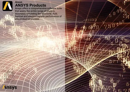 Ansys Products 2025 R2.04 Linux