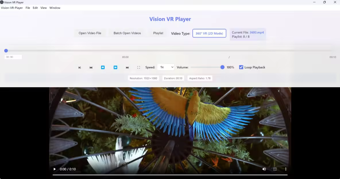 Cainey Studio Vision VR Player 6.6.1.0 x64