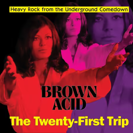 VA – Brown Acid – The Twenty First Trip (2025)