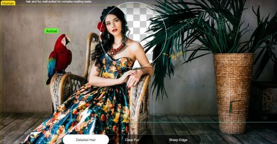 AIArty Image Matting 2.6 x64 Multilingual