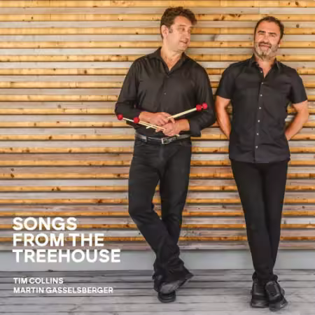 Tim Collins & Martin Gasselsberger – Songs from the Treehouse (2025)