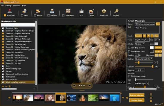 iWatermark Pro 2 v4.0.34 x64