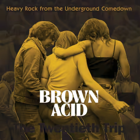 VA – Brown Acid – The Twentieth Trip (2025)