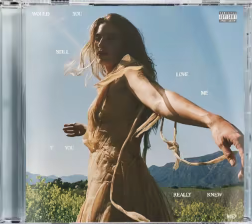 Fletcher – Would You Still Love Me If You Really Knew Me (2025)