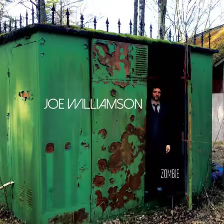 Joe Williamson – Zombie (2025)