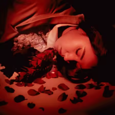 Coming Up Roses – How Did We Fall So Far? (2025)