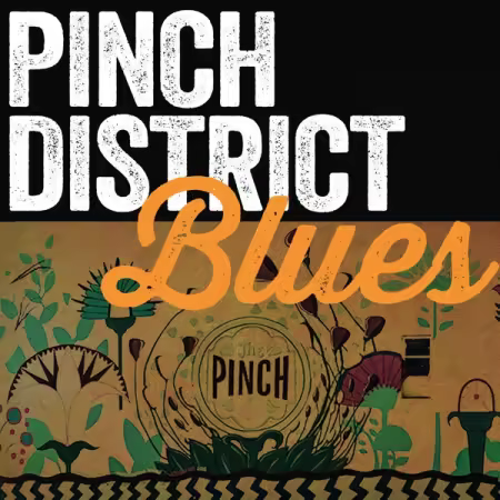 VA – Pinch District Blue (2025)