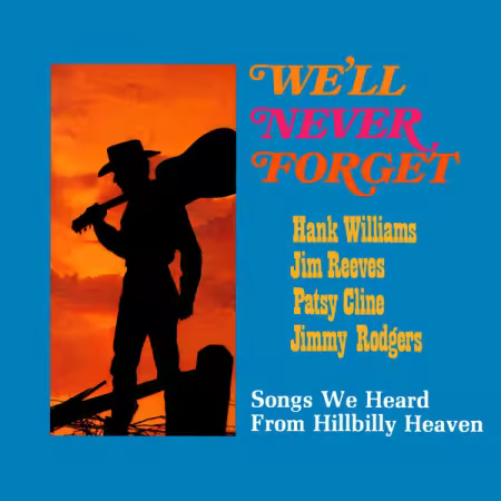 VA – We’ll Never Forget Songs We Heard from Hillbilly Heaven (2025)
