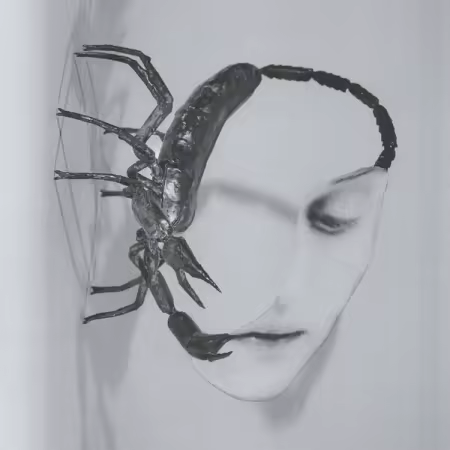 Tortoise – Touch (2025)