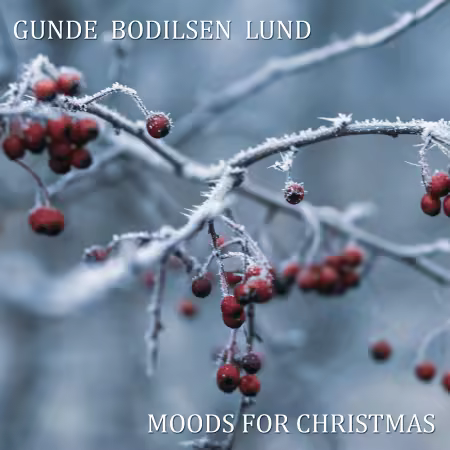 Henrik Gunde, Jesper Bodilsen & Morten Lund – Moods for Christmas (2025) FLAC