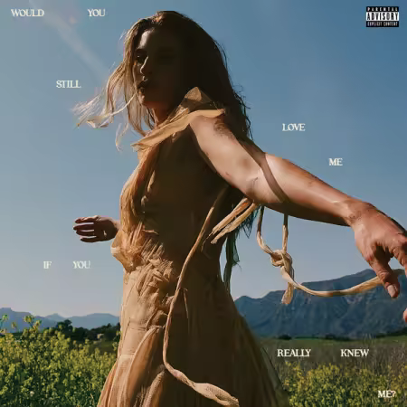 Fletcher – Would You Still Love Me If You Really Knew Me? (2025)