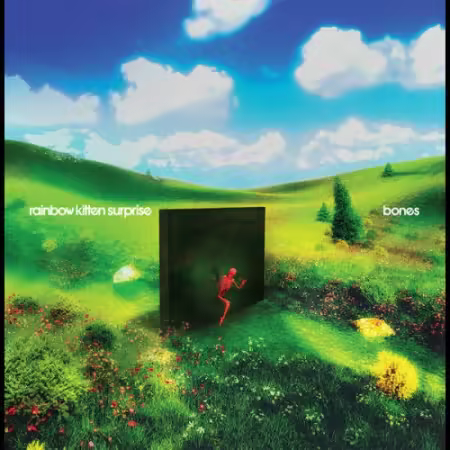Rainbow Kitten Surprise – bones (2025)