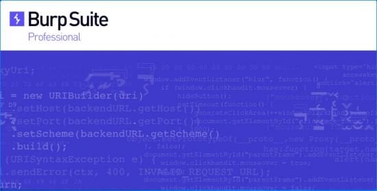 Burp Suite Professional 2025.10.6