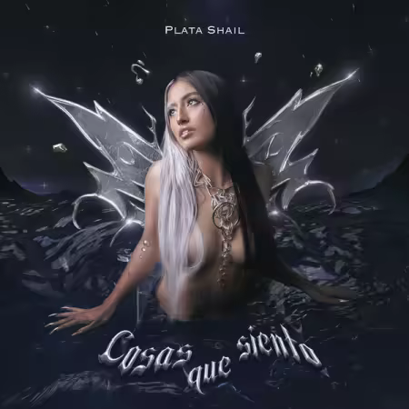 Plata shail – Cosas que Siento (2025)