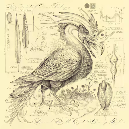 Sarah Belle Reid & Vinny Golia – Accidental Ornithology (2025)