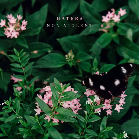 Haters – Non-Violent (2025)