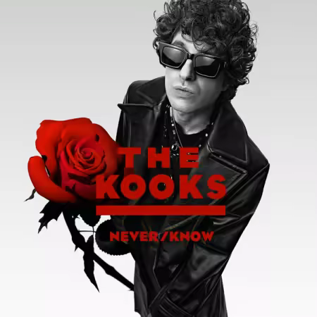 The Kooks – Never/Know (2025)