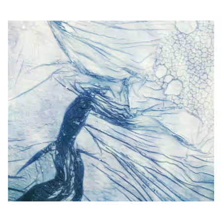 th_iQ4hY5vMUYNOcy3myJk8eJJbf7c9IcDZ.avif_