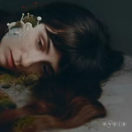 dodie – Not For Lack Of Trying (2025)