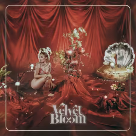 Velvet Bloom – Velvet Bloom (2025)