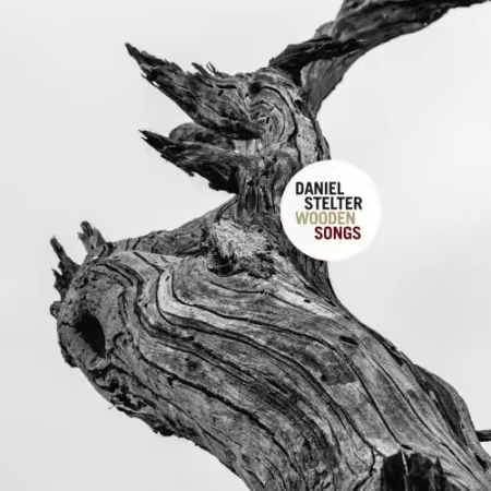 Daniel Stelter – Wooden Songs (2025)