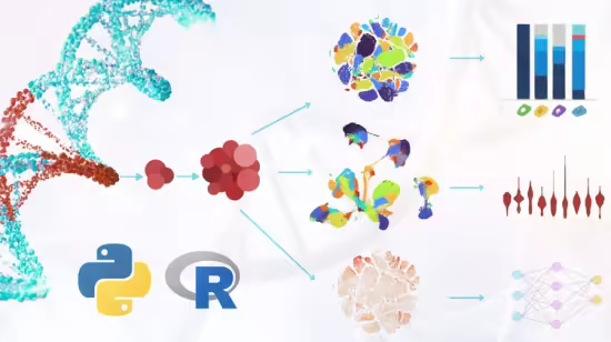 Learn Single-Cell RNA-seq Data Analysis using R and Python