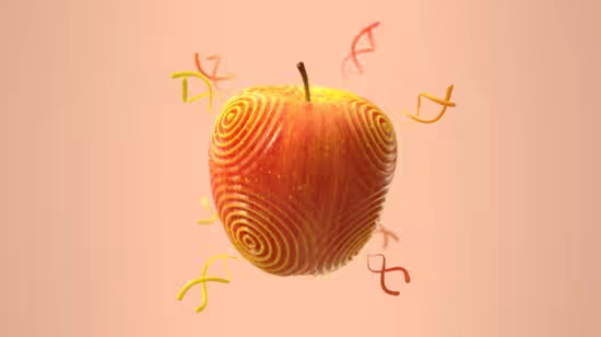 th_srMXTELFQetHPSMWRv4My0iBqPmQbLLo.avif_ th_srMXTELFQetHPSMWRv4My0iBqPmQbLLo.avif_