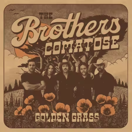 The Brothers Comatose – Golden Grass (2025)