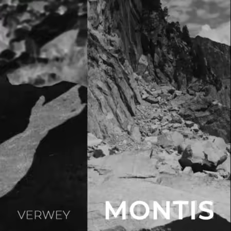 Verwey – Montis (2025)