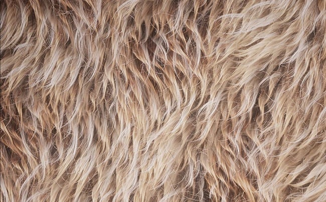 Levelup.Digital – Creating a Smart Fur Material QiYuDai