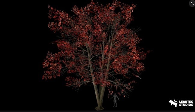 Fab – Sourwood Trees