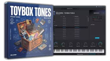 Relooped ToyBox 100 Analog Lab Preset Bank-FANTASTiC