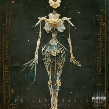 SampleTraxx Mutilated Noise WAV