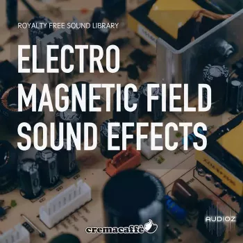LofiAndy Sounds Electromagnetic Fields WAV-FANTASTiC