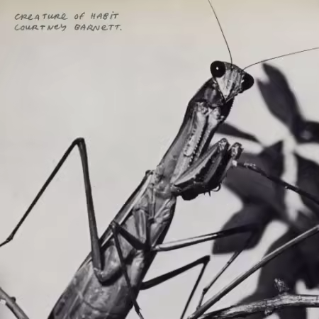 Courtney Barnett – Creature of Habit (2026)