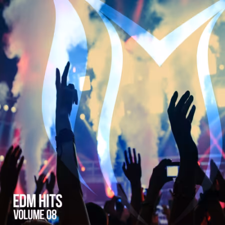VA – EDM Hits Vol.8 (2026)