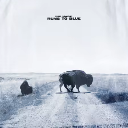 Big Harp – Runs to Blue (2026)