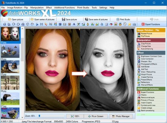 FotoWorks XL 2026 26.0.1 Multilingual