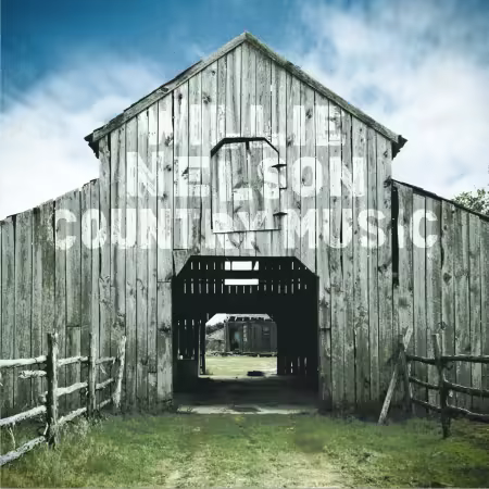 Willie Nelson – Country Music (2010/2026)