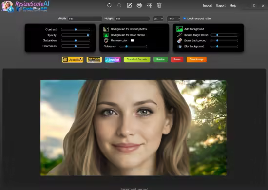 CodePro AP ResizeScaleAI 1.0.0 x64 Multilingual