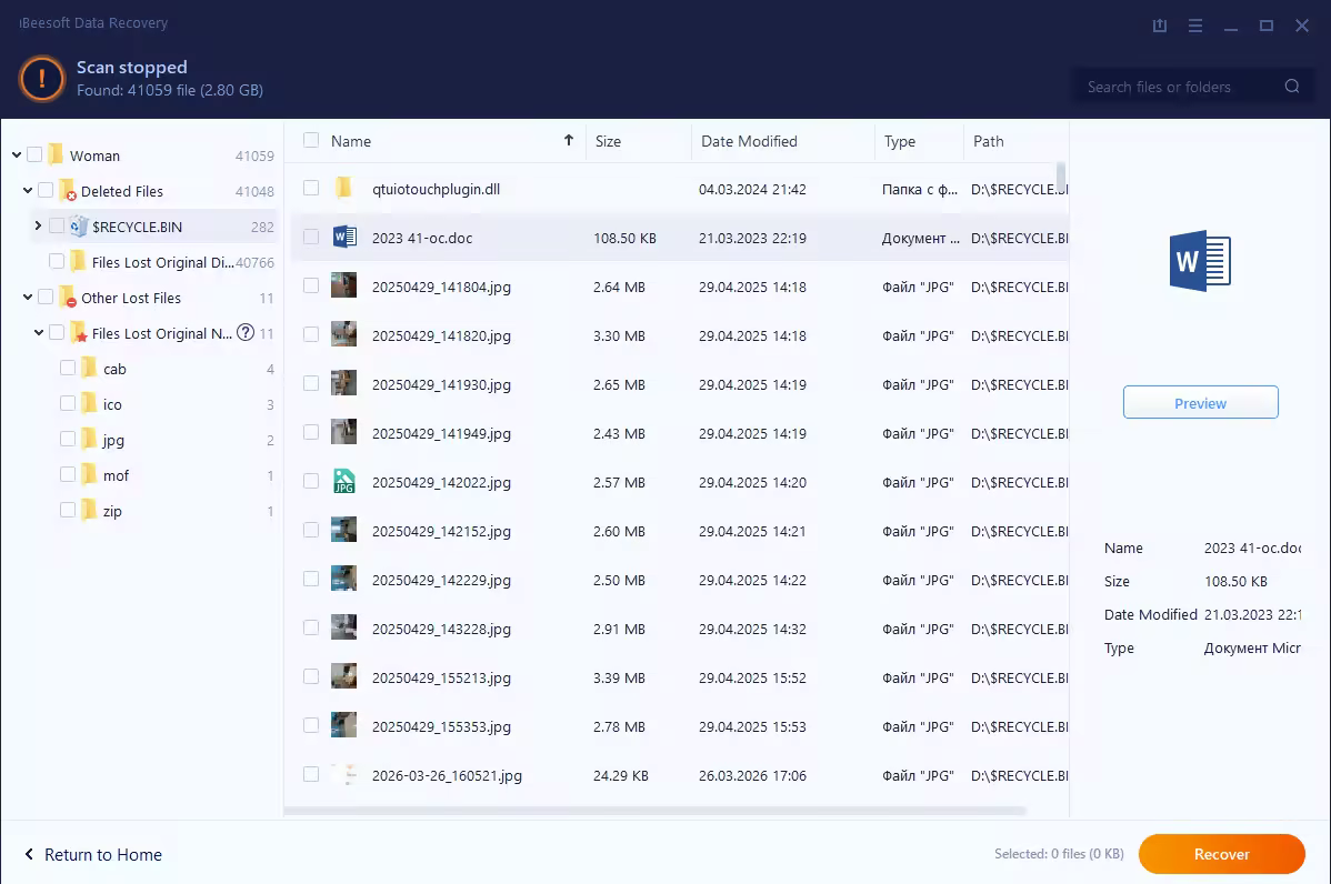 iBeesoft Data Recovery 5.0.0.0 Multilingual